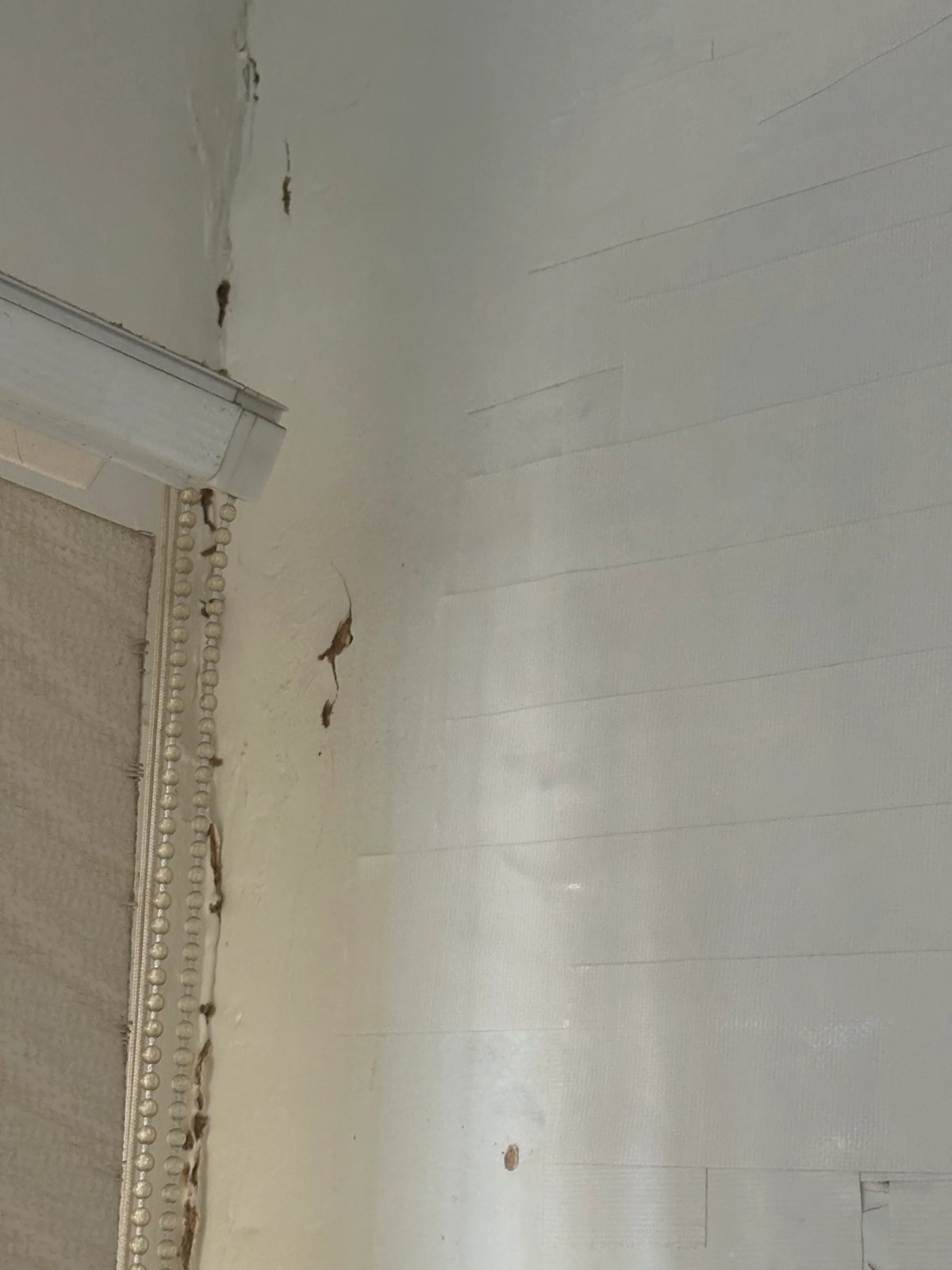 Pest Control work by Kassem Pest Control, NSW (photo 2 of 6)