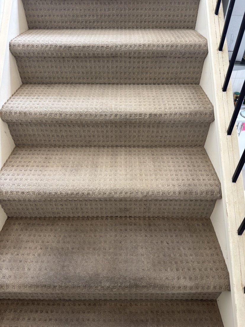 Carpet Cleaning work by Blackburn Carpet Steam Cleaning, Blackburn North VIC (photo 6 of 6)