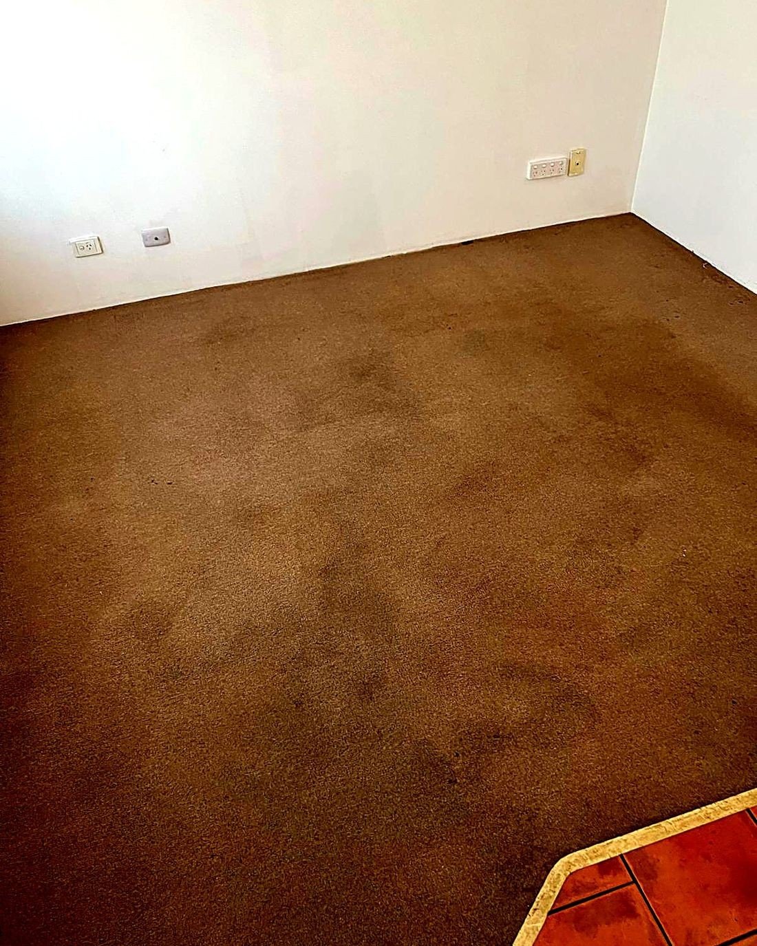 Carpet Cleaning work by ProFresh Carpet Cleaning, WA