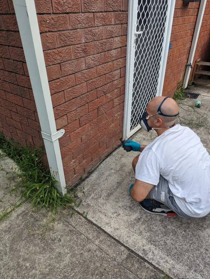 Pest Control work by Avalanche Pest Control, Wollongong NSW (photo 2 of 3)