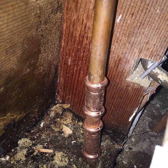 Plumber work by Savvy Solutions Plumbing, NSW (photo 1 of 3)