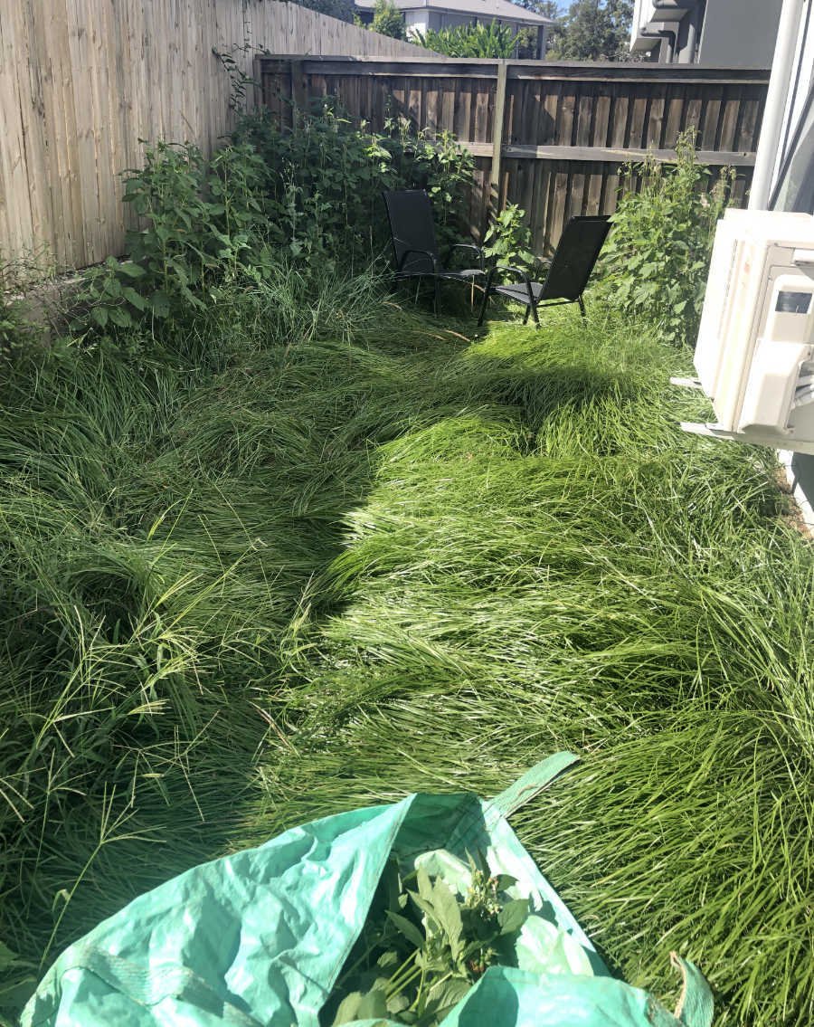 Lawn & Mowing work by Clean Green Mowing, QLD (photo 5 of 5)