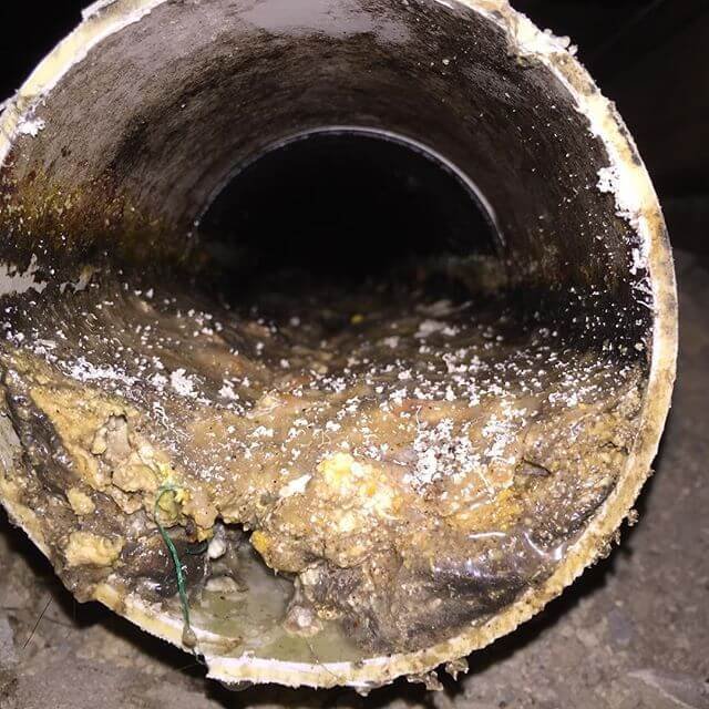 Plumber work by Savvy Solutions Plumbing, NSW (photo 1 of 2)