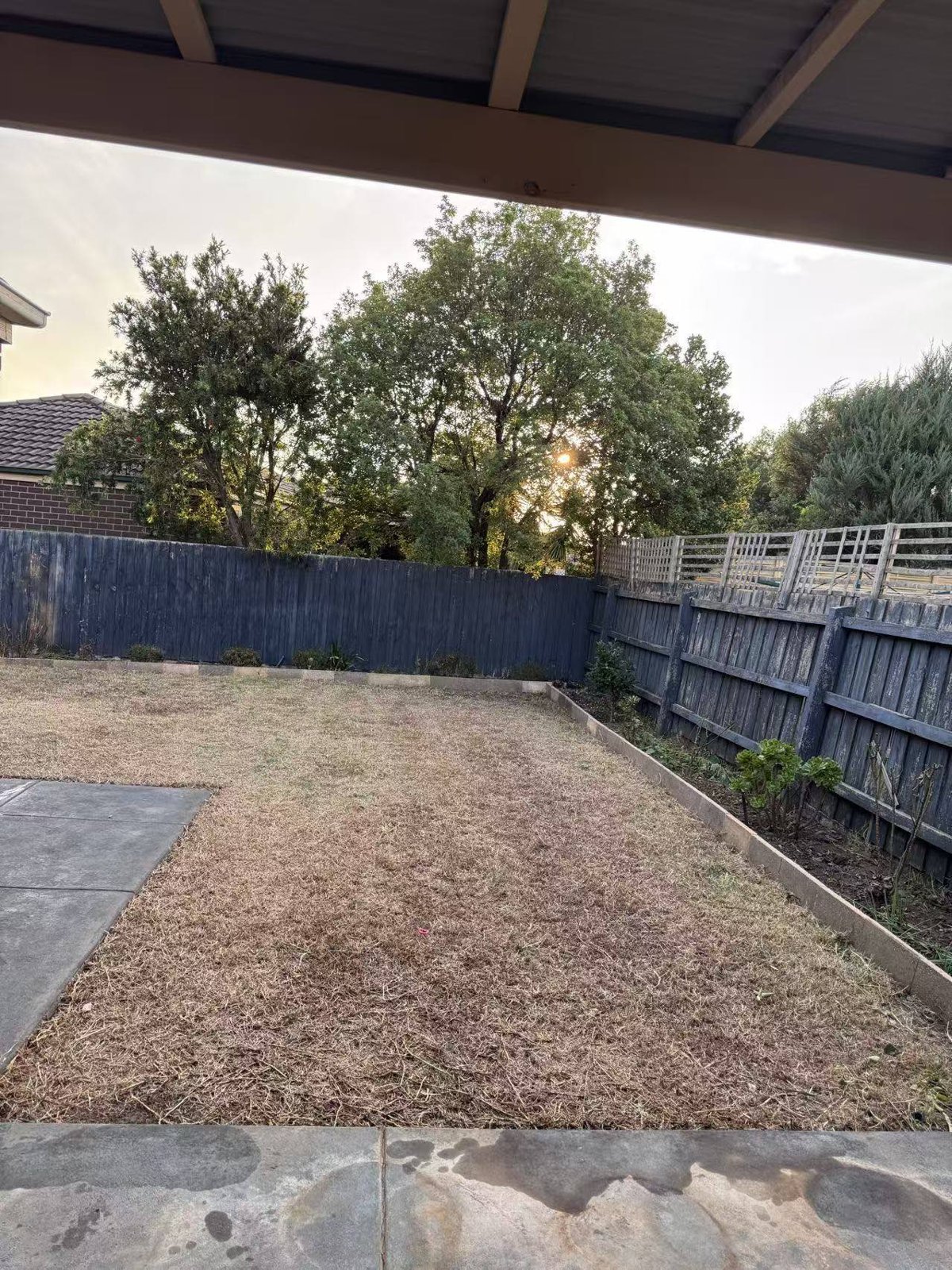 Lawn & Mowing work by Dashu Garden Services, Glen Waverley VIC (photo 2 of 2)