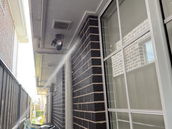 Pest Control work by PestGuard Sydney, NSW (photo 2 of 2)
