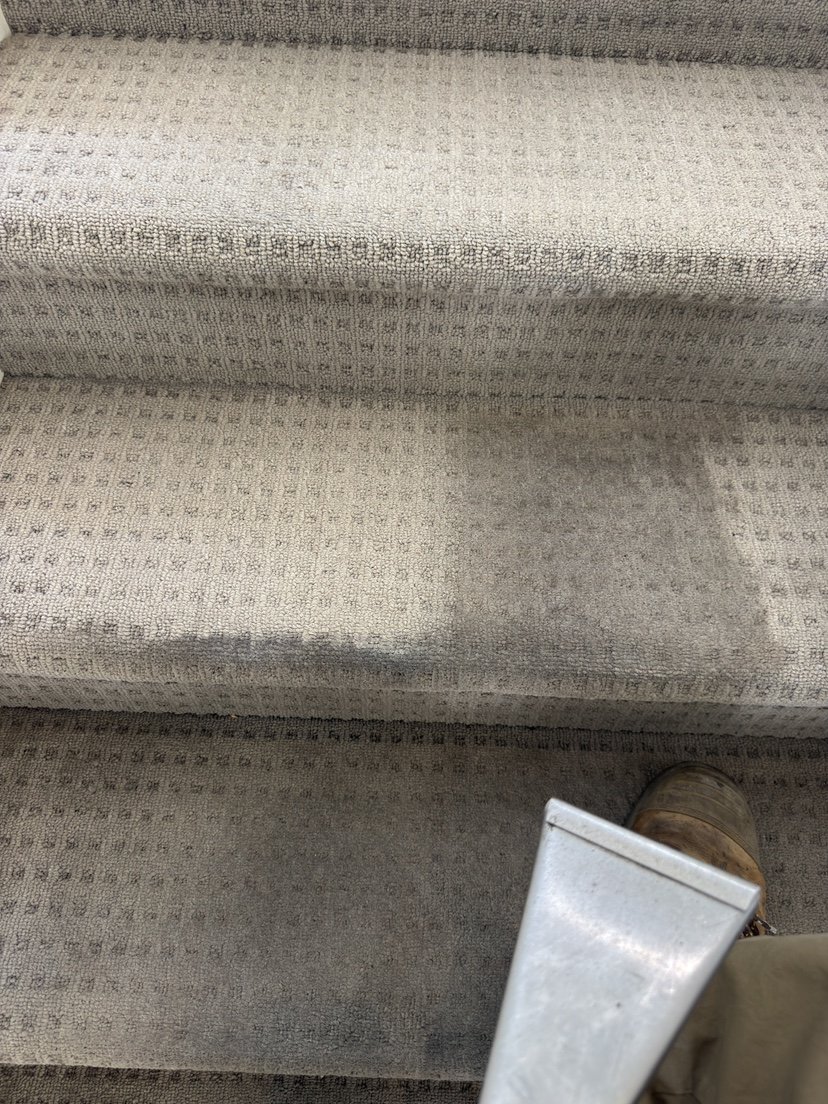 Carpet Cleaning work by Blackburn Carpet Steam Cleaning, Blackburn North VIC (photo 5 of 6)