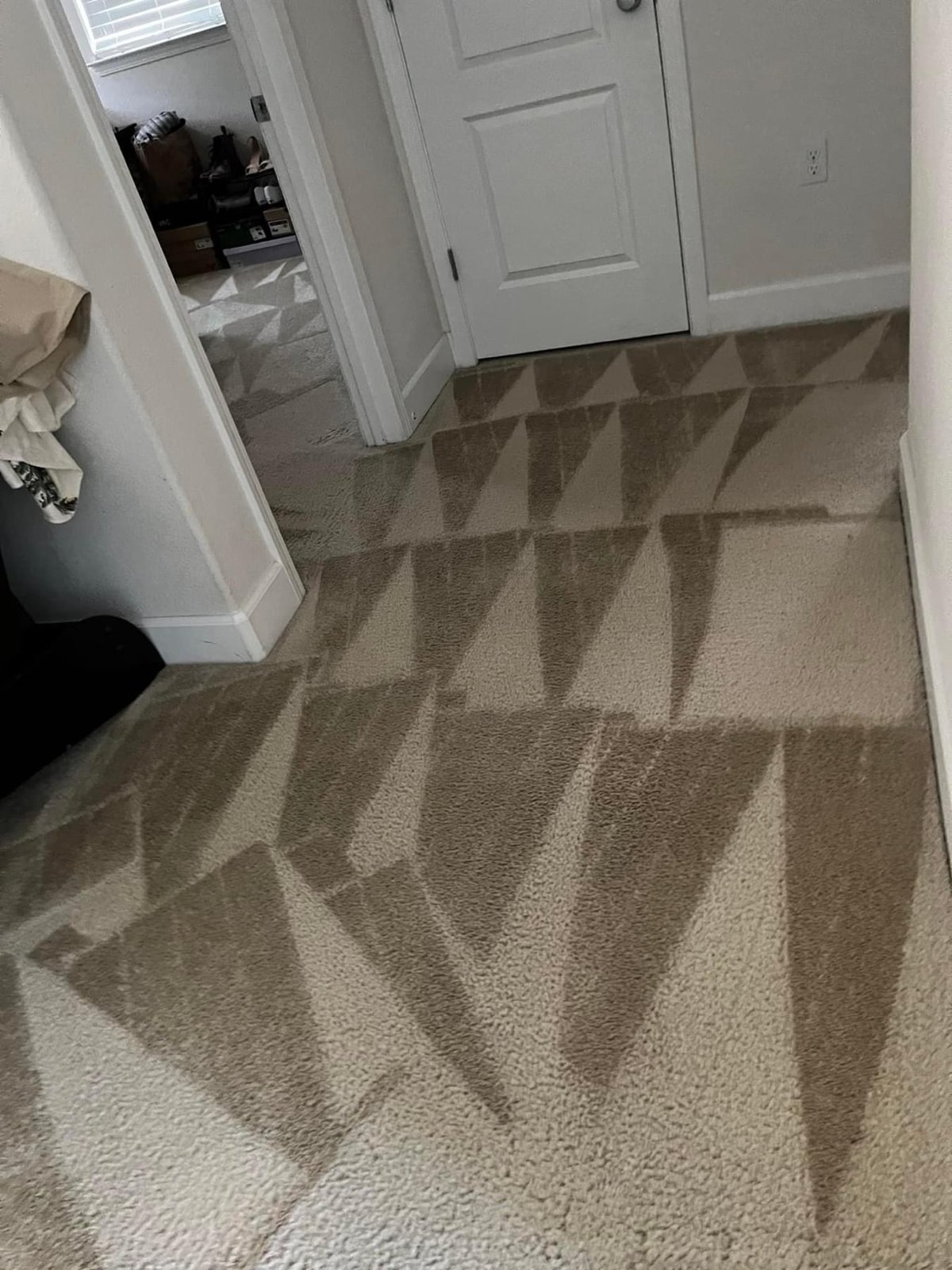 Carpet Cleaning work by SM Steam Cleaning, NSW (photo 3 of 3)