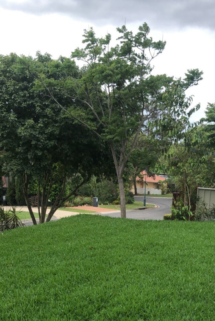 Lawn & Mowing work by Clean Green Mowing, QLD (photo 3 of 4)
