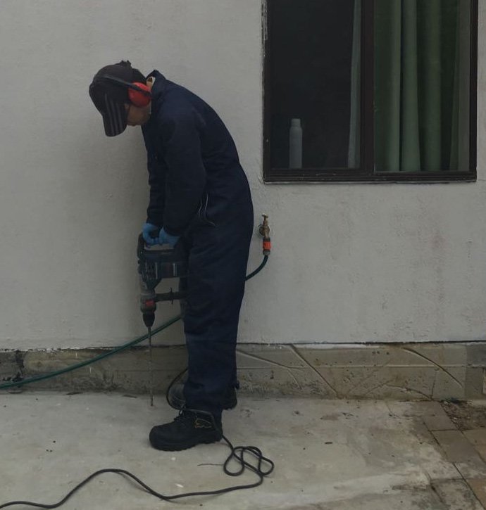 Pest Control work by Expest Pest Control, VIC (photo 2 of 2)