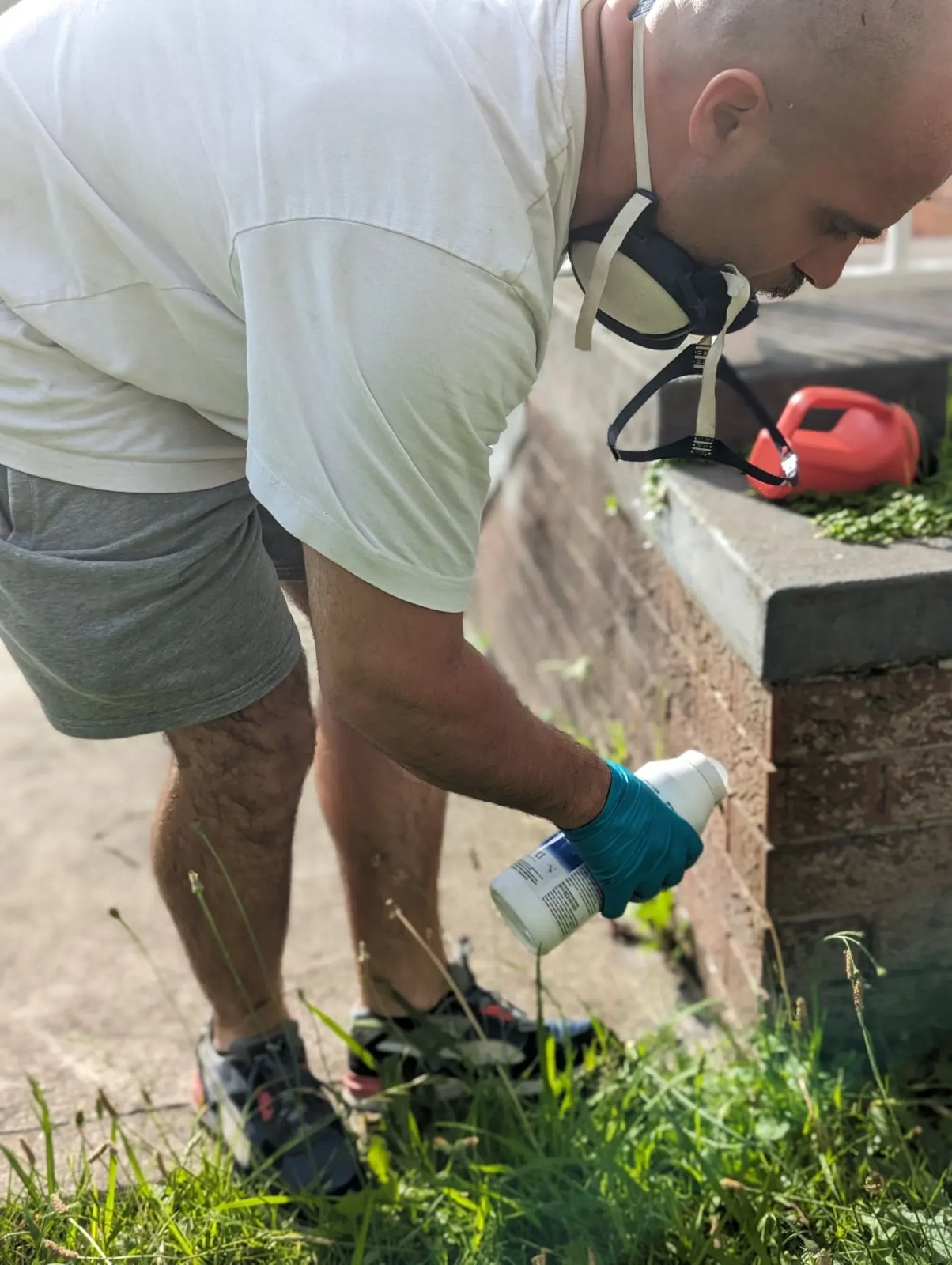 Pest Control work by Avalanche Pest Control, Wollongong NSW (photo 3 of 3)