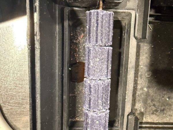 Pest Control work by PestGuard Sydney, NSW (photo 1 of 4)