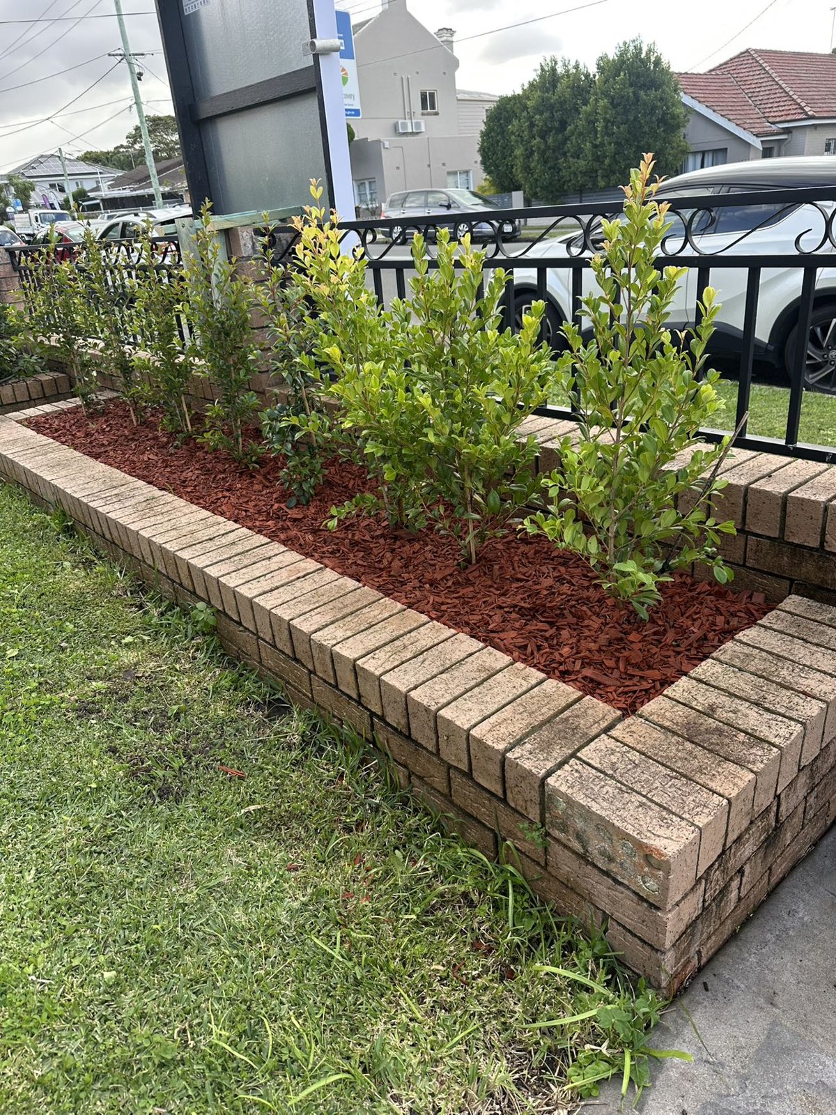 Landscaping work by KAIJIA Landscaping, Burwood NSW (photo 3 of 3)