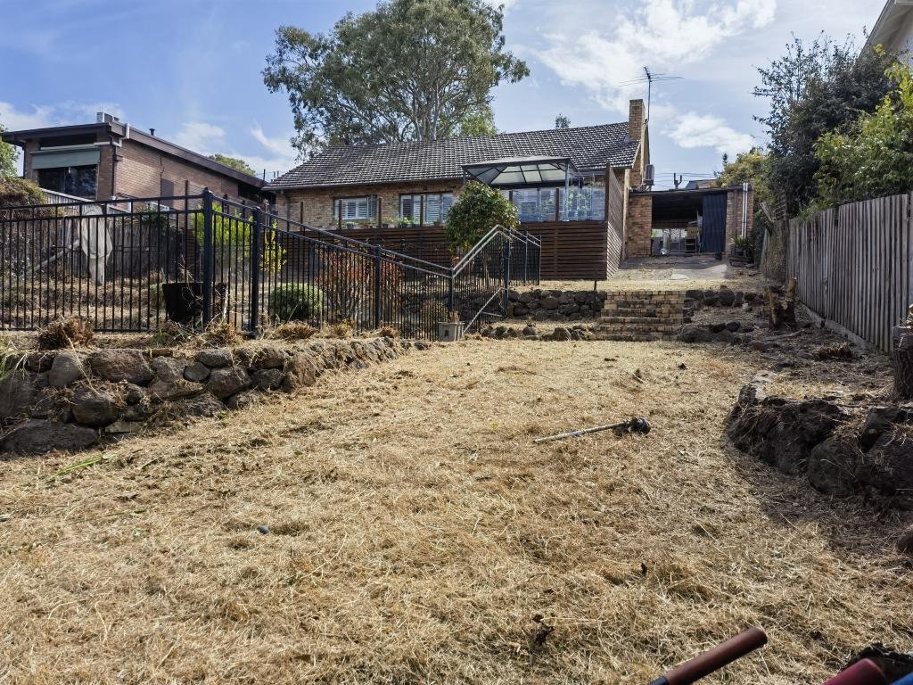 Tree & Stump Removal work by Box Hill Tree & Garden Care, Box Hill VIC