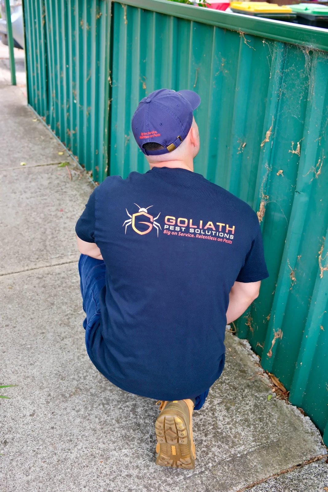 Pest Control work by Goliath Pest Solutions, NSW