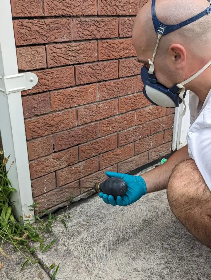 Pest Control work by Avalanche Pest Control, Wollongong NSW