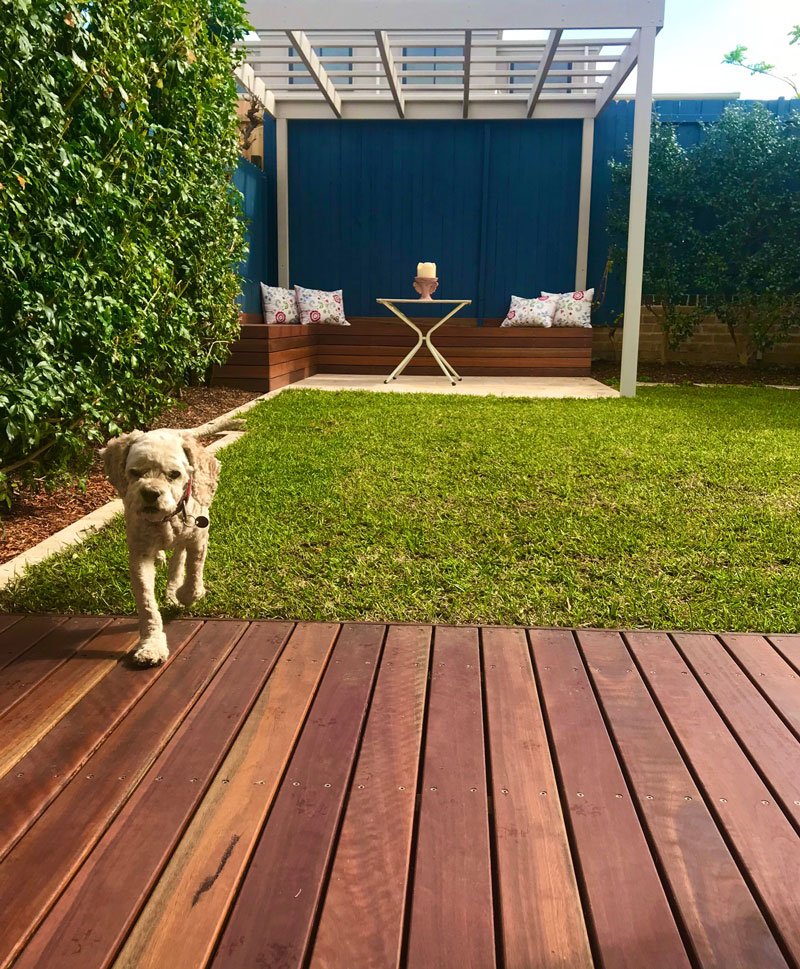 Landscaping work by Excell Landscapes, Leichhardt NSW (photo 1 of 7)
