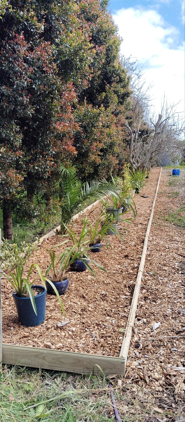 Landscaping work by ProProject, Morley WA (photo 2 of 2)
