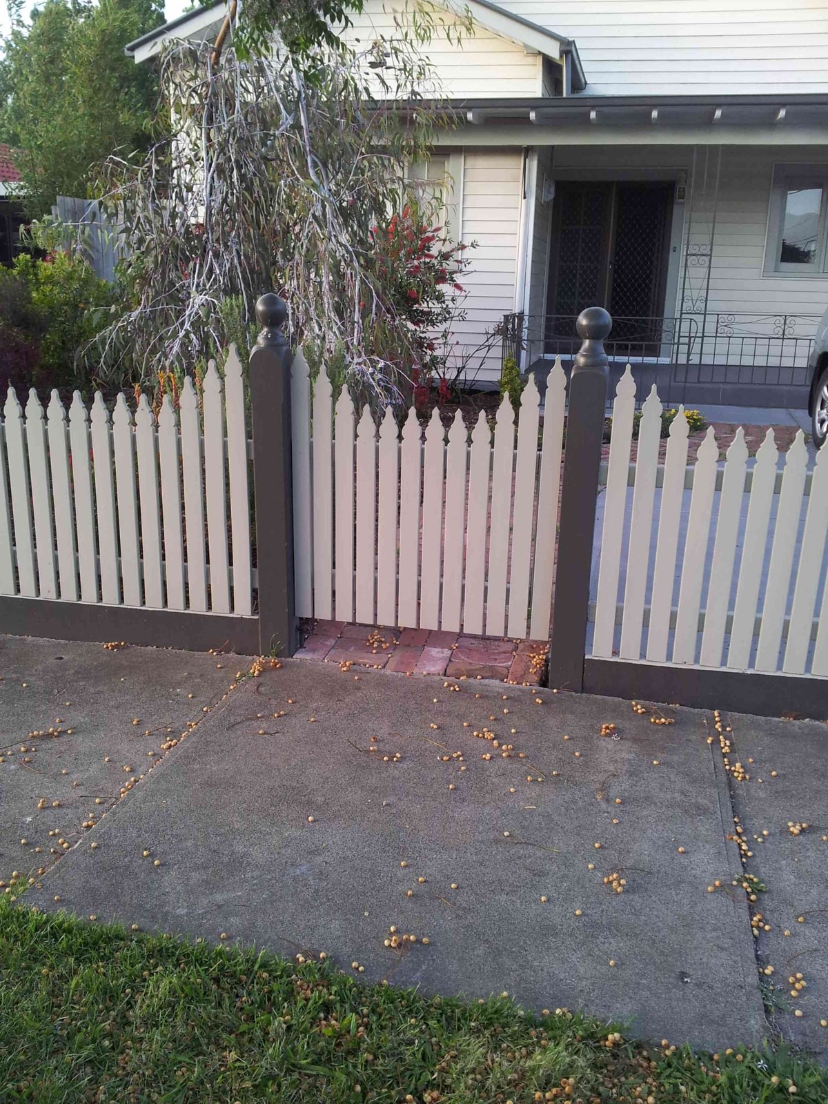 Handyman work by Local Handy Guy, VIC (photo 2 of 2)