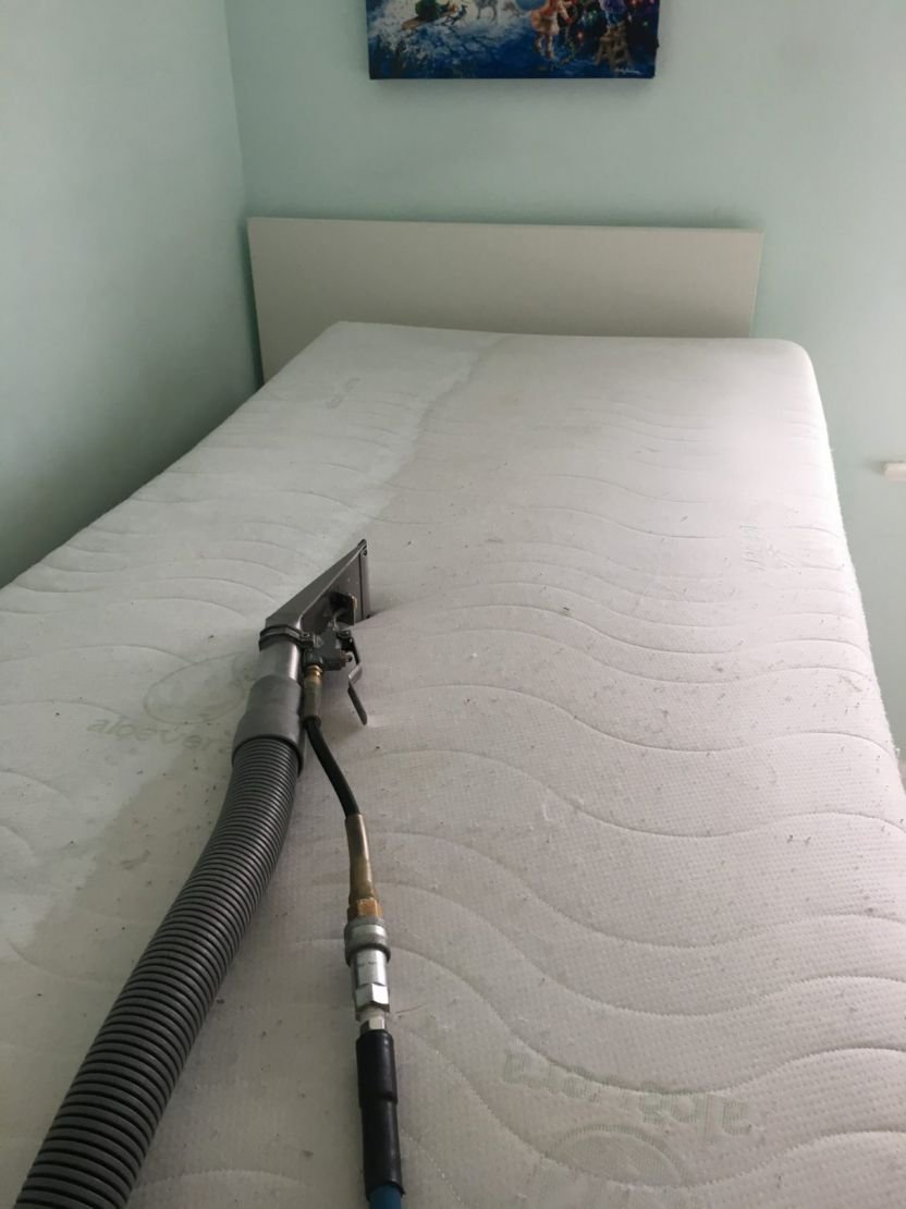 Carpet Cleaning work by SM Steam Cleaning, NSW (photo 1 of 2)