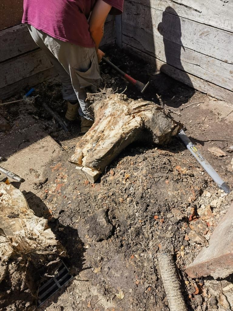 Tree & Stump Removal work by Box Hill Tree & Garden Care, Box Hill VIC (photo 3 of 5)