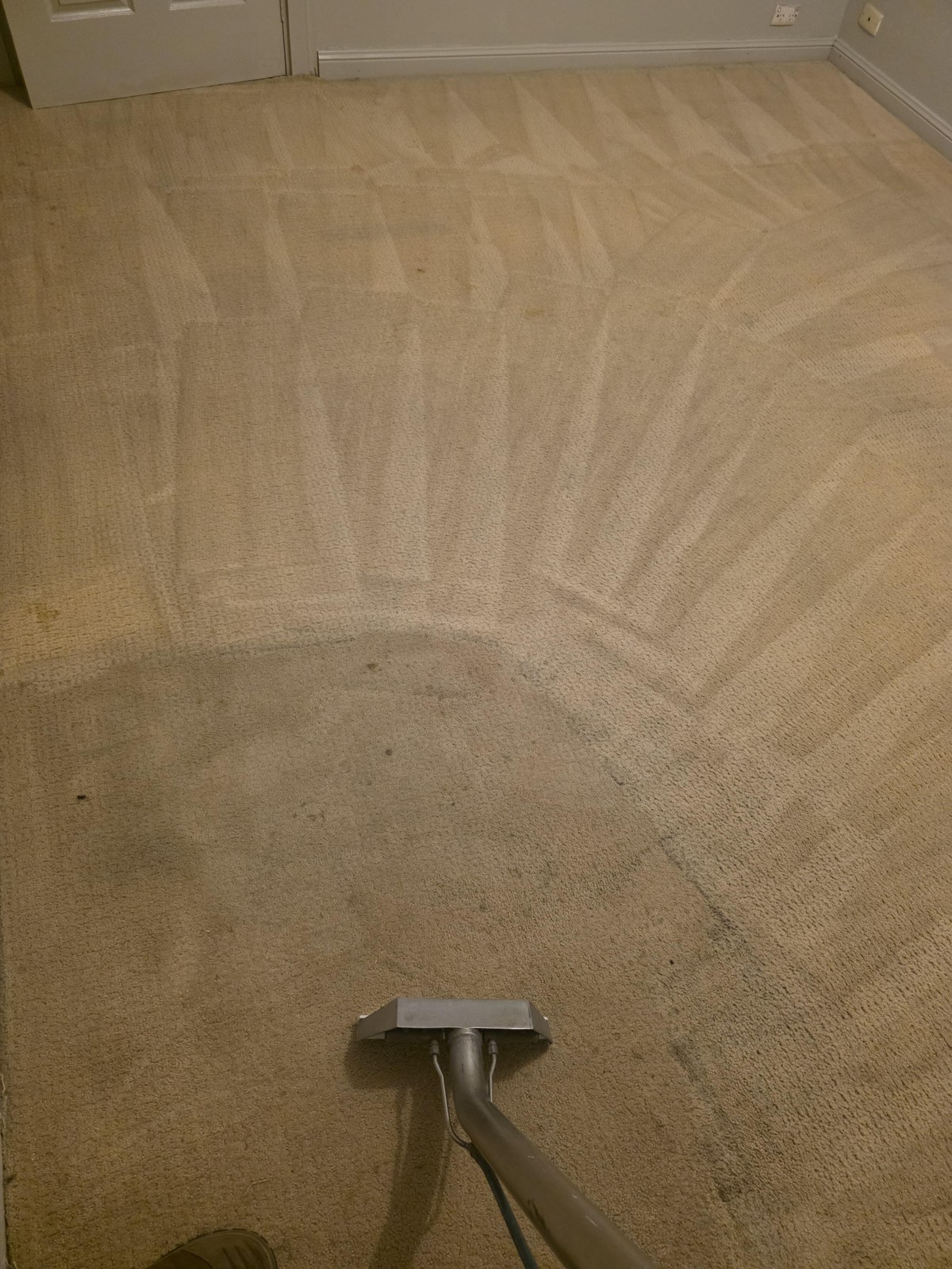 Carpet Cleaning work by Vincent Carpet Cleaning Adelaide, SA (photo 3 of 3)