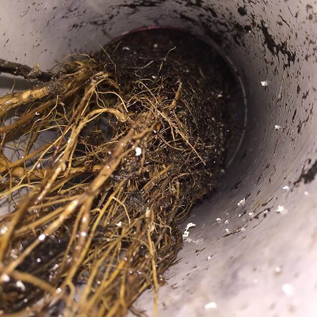 Plumber work by Savvy Solutions Plumbing, NSW (photo 2 of 2)
