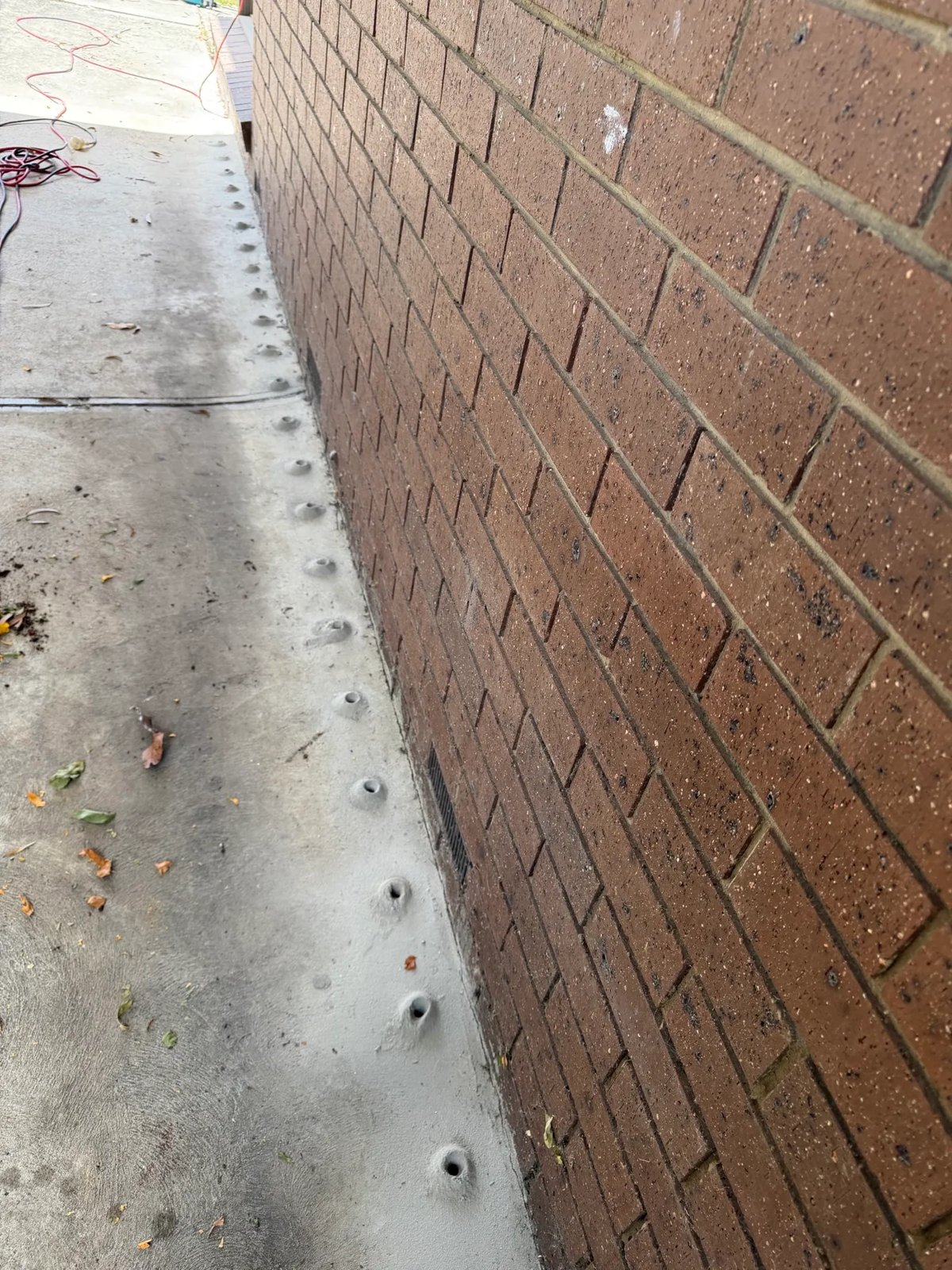 Pest Control work by Max Force Pest Control, VIC (photo 2 of 4)