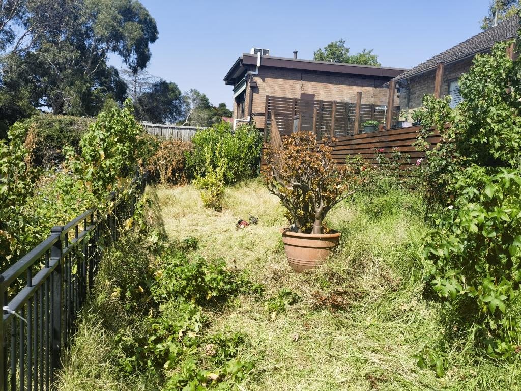 Tree & Stump Removal work by Box Hill Tree & Garden Care, Box Hill VIC (photo 2 of 5)