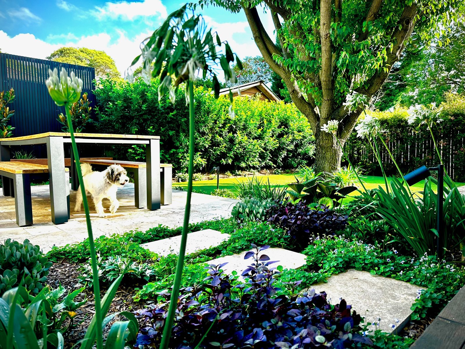 Landscaping work by Excell Landscapes, Leichhardt NSW (photo 2 of 4)