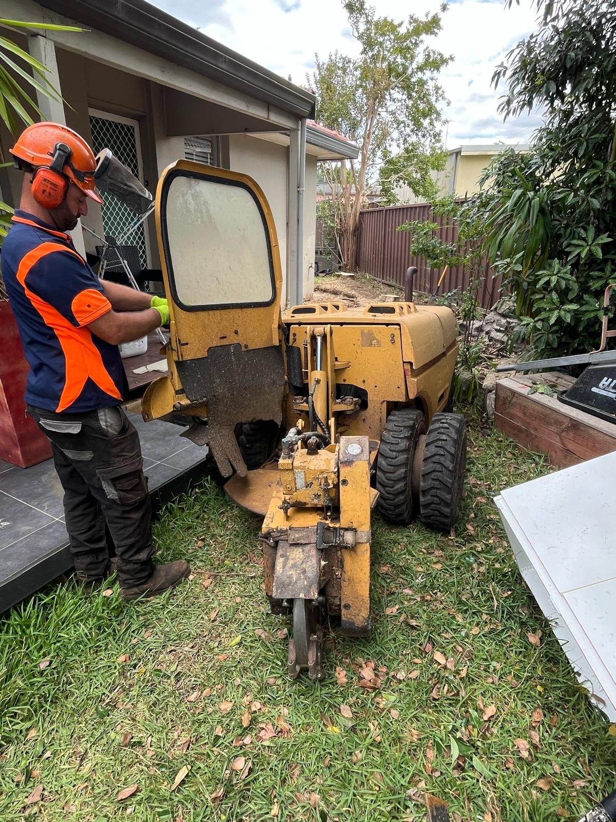 Tree & Stump Removal work by Dan's Tree Services, NSW (photo 3 of 4)
