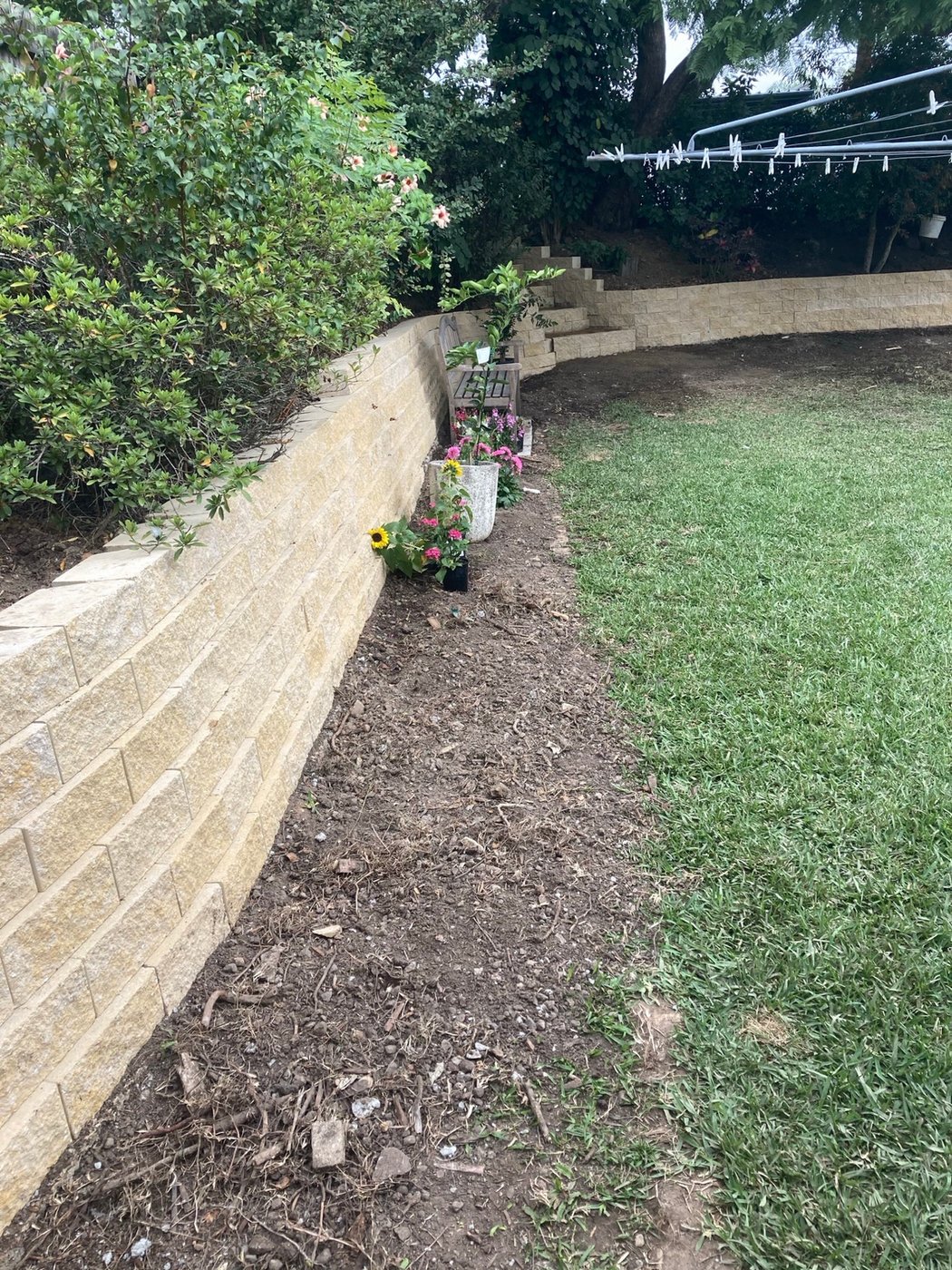 Landscaping work by Able Landscapes, Holland Park West QLD (photo 5 of 6)