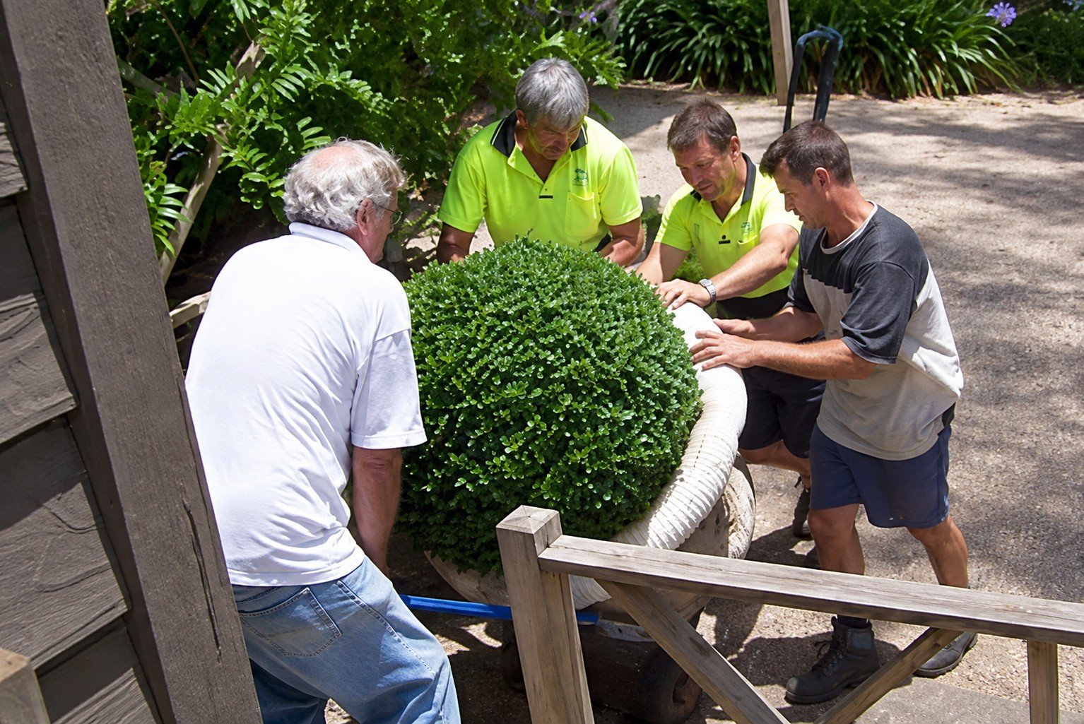 Removalists work by Adelaide Hills Removals & Storage, SA