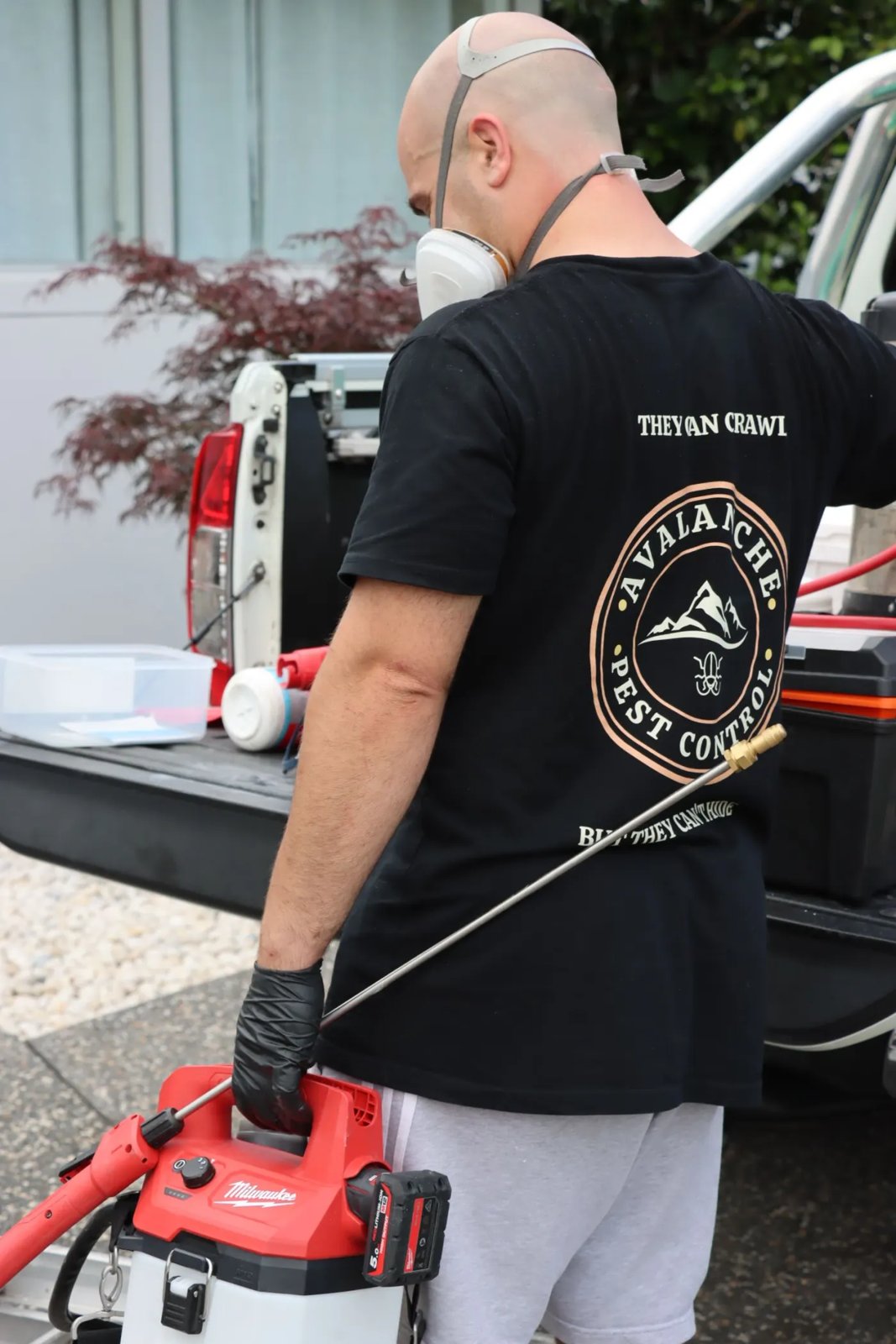 Pest Control work by Avalanche Pest Control, Wollongong NSW (photo 3 of 3)