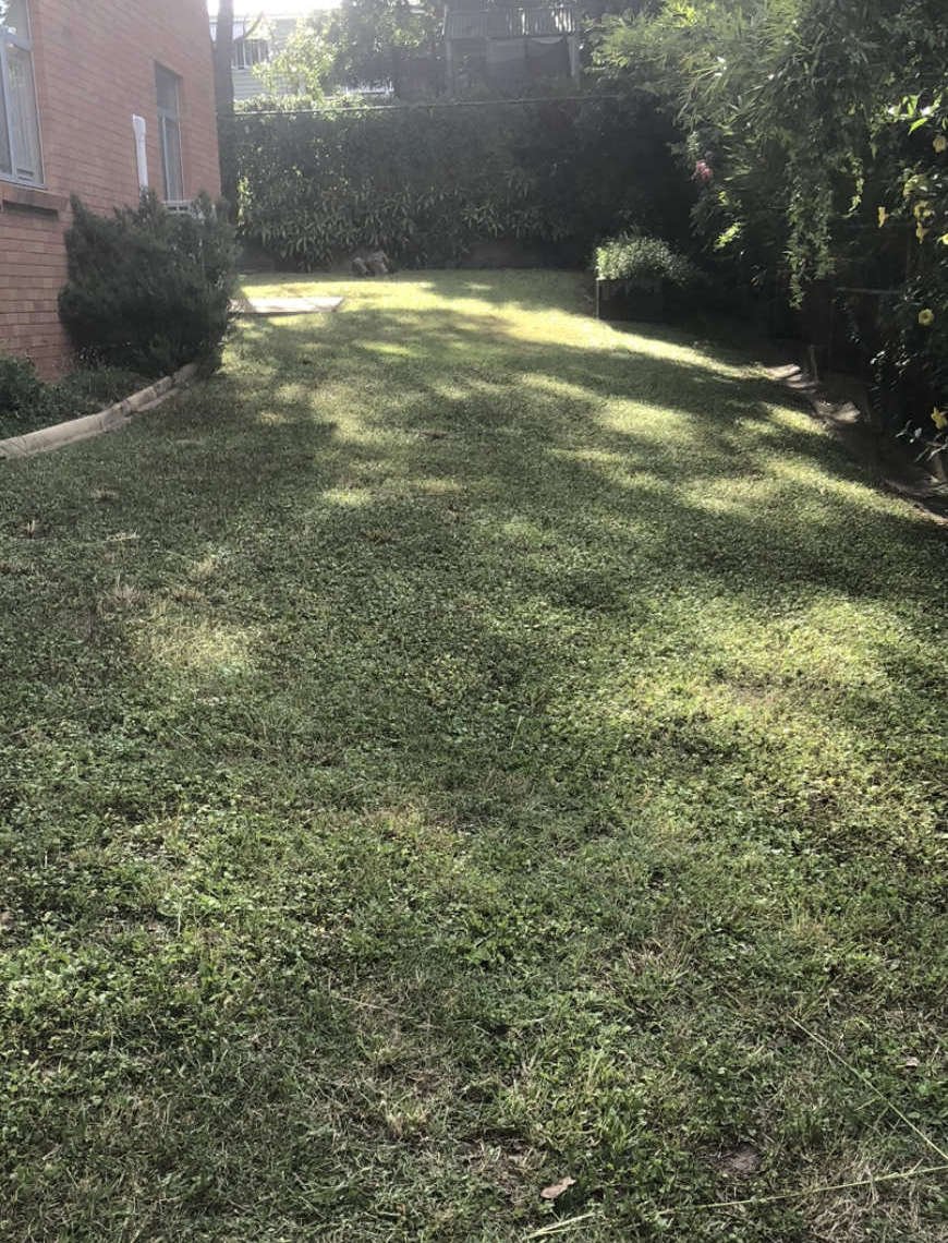 Lawn & Mowing work by Clean Green Mowing, QLD (photo 4 of 5)
