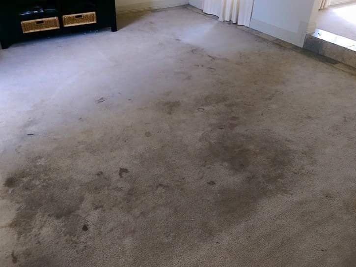 Carpet Cleaning work by Westside Carpet & Upholstery Service, QLD