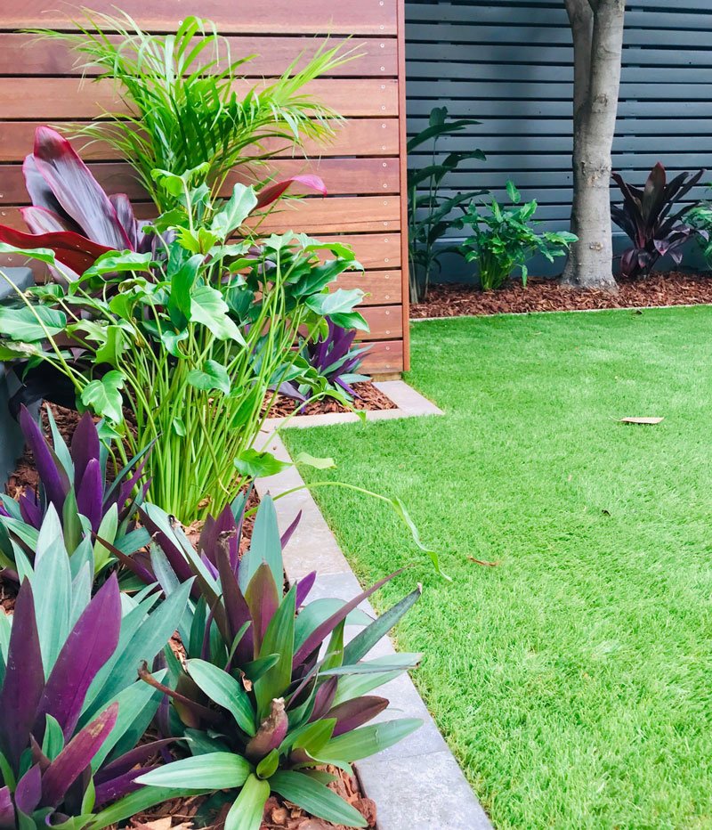 Landscaping work by Excell Landscapes, Leichhardt NSW (photo 3 of 4)