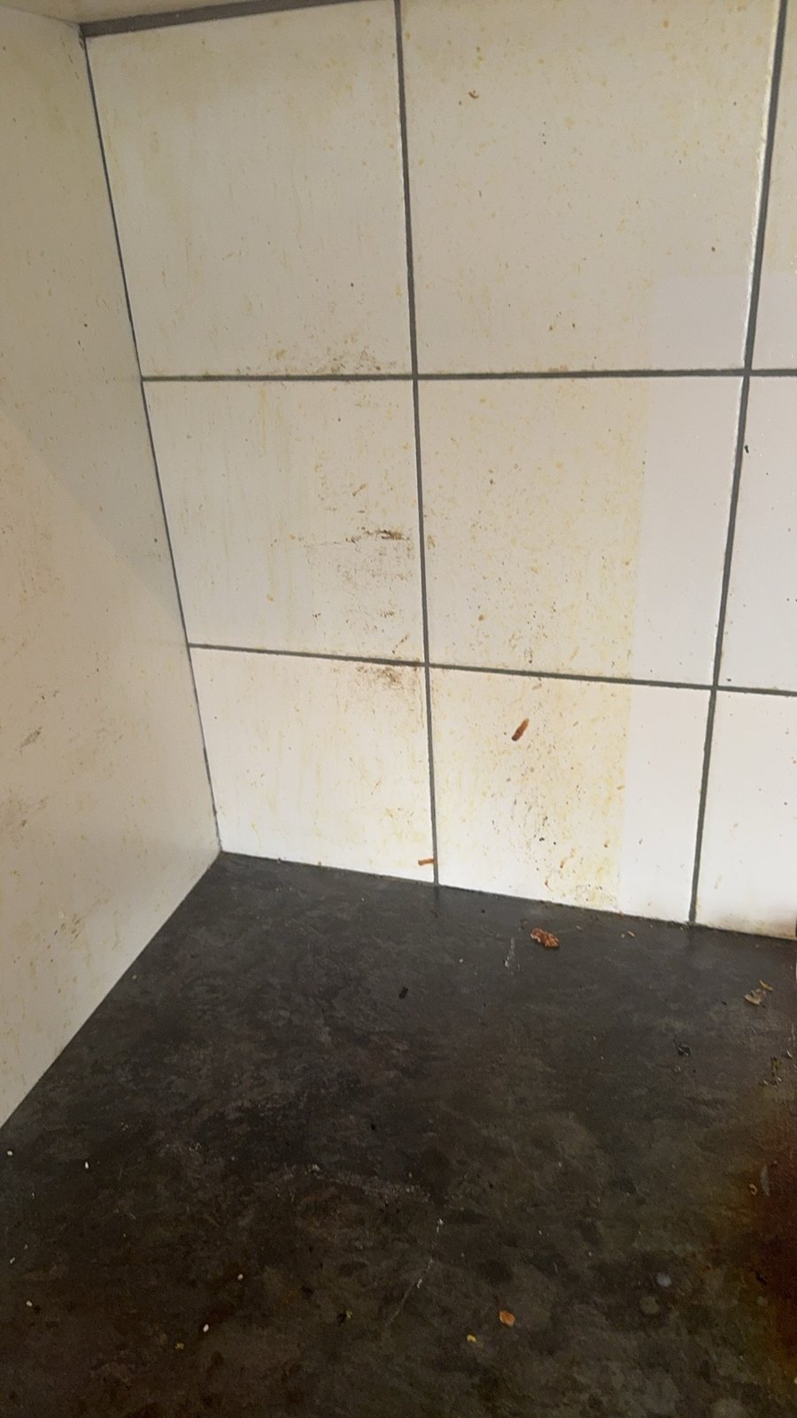 House Cleaning work by Pristine Touch Clean Service, Burwood VIC (photo 3 of 4)