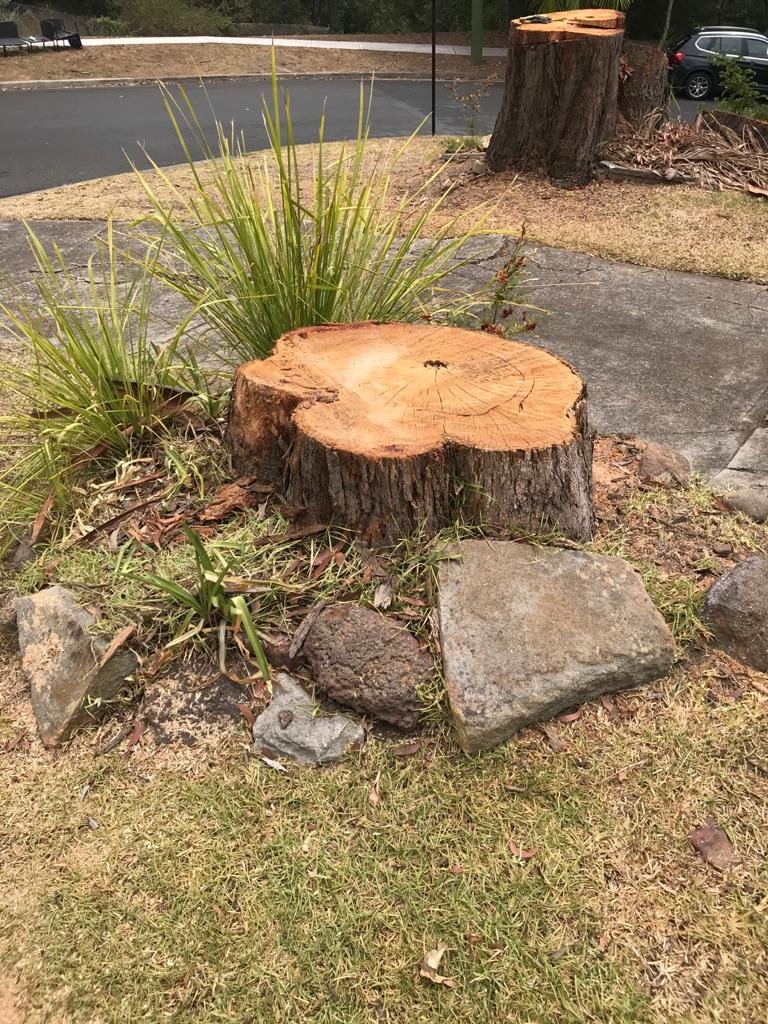 Tree & Stump Removal work by Dan's Tree Services, NSW