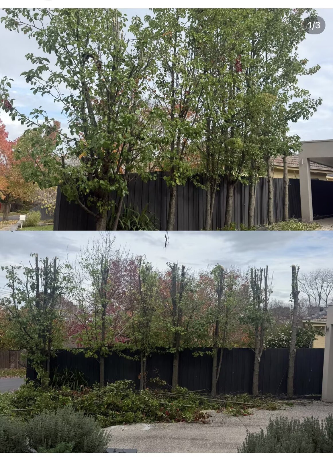 Tree & Stump Removal work by Laoma Garden Services, Box Hill VIC