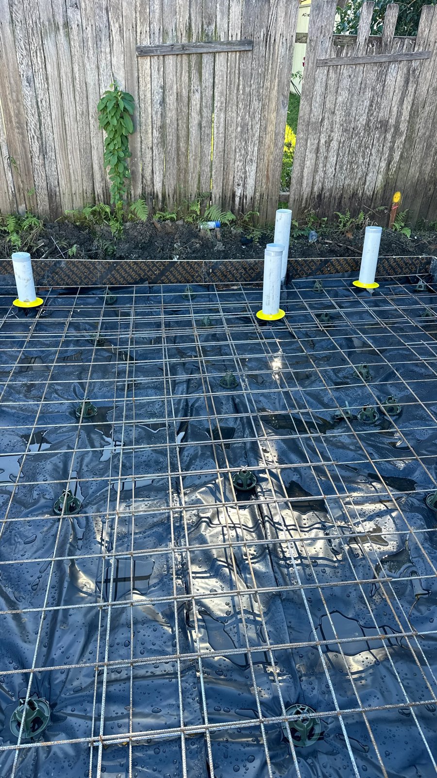 Pest Control work by Kassem Pest Control, NSW (photo 3 of 6)