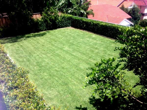 Landscaping work by Appleseed Gardening, NSW (photo 2 of 2)