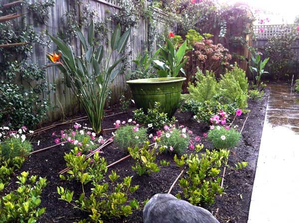 Landscaping work by Appleseed Gardening, NSW (photo 2 of 2)