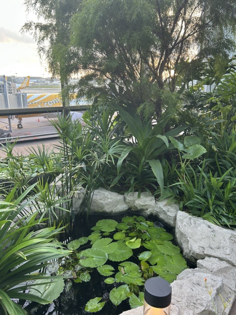 Landscaping work by Treeman Garden Design, VIC (photo 3 of 4)