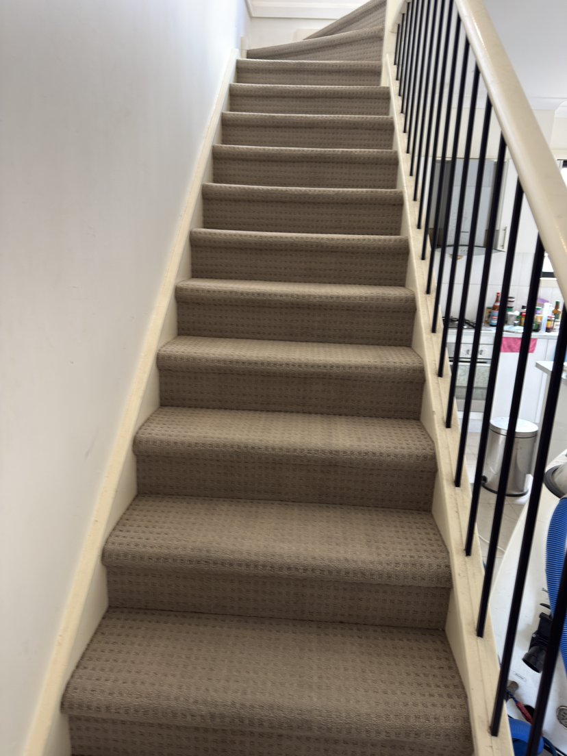 Carpet Cleaning work by Blackburn Carpet Steam Cleaning, Blackburn North VIC (photo 4 of 6)
