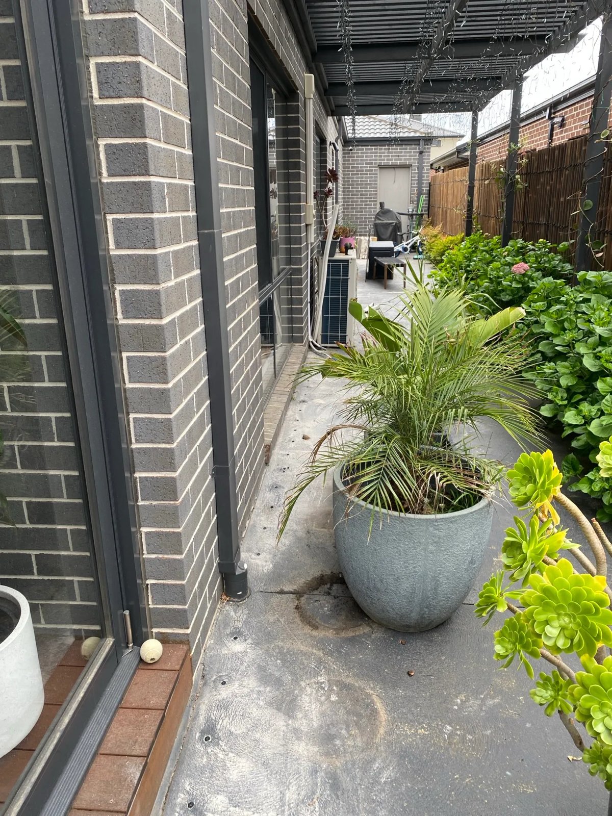 Pest Control work by Max Force Pest Control, VIC (photo 3 of 4)