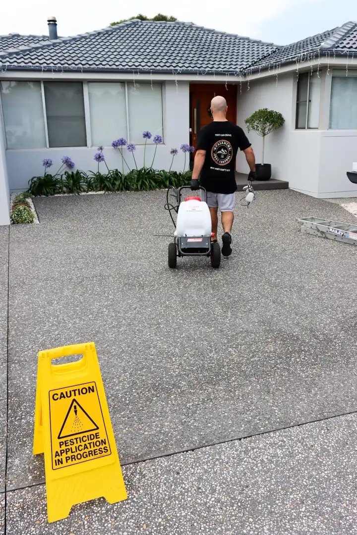 Pest Control work by Avalanche Pest Control, Wollongong NSW (photo 2 of 3)