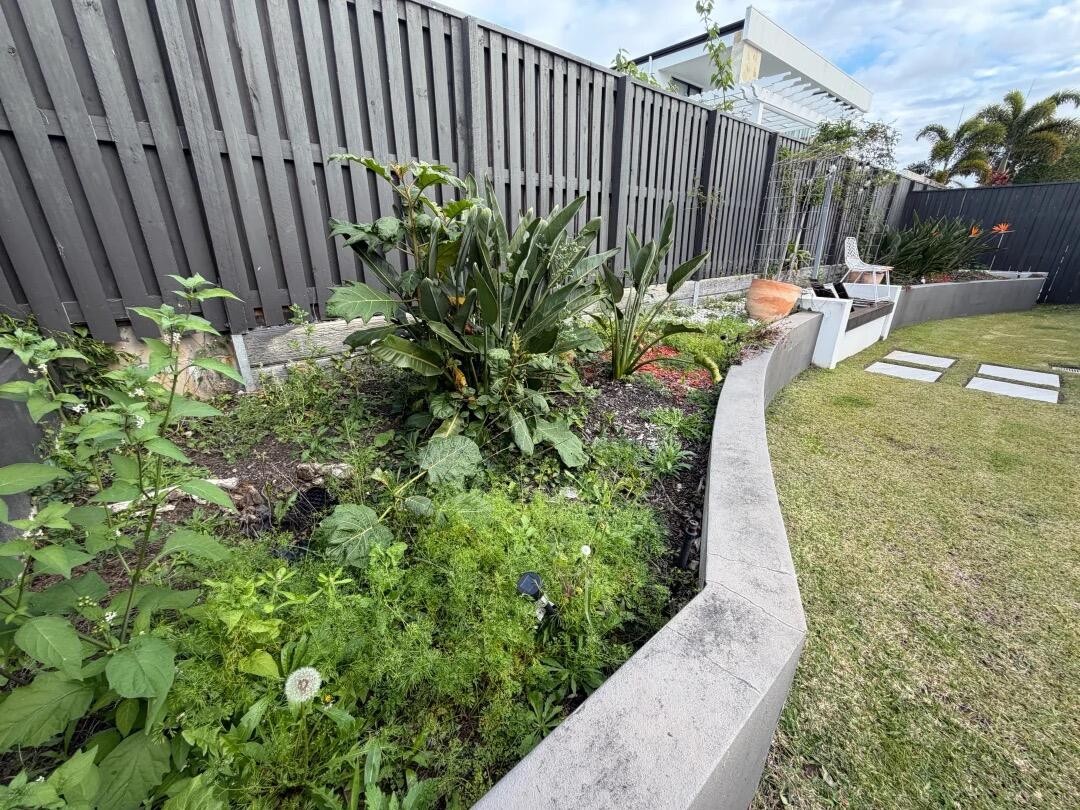 Lawn & Mowing work by Coco Rubbish Removal Brisbane, QLD (photo 1 of 4)