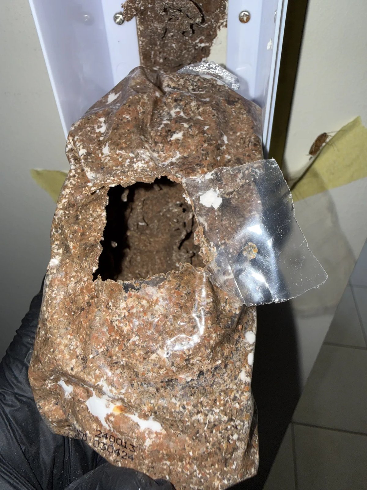 Pest Control work by Goliath Pest Solutions, NSW