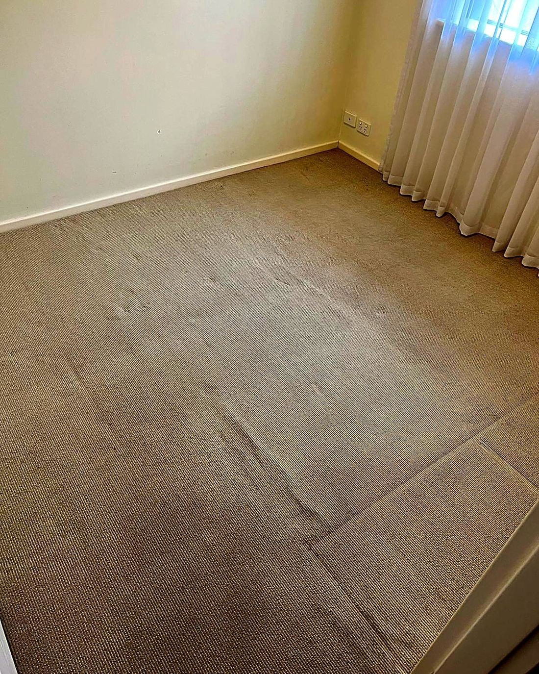 Carpet Cleaning work by ProFresh Carpet Cleaning, WA (photo 3 of 3)