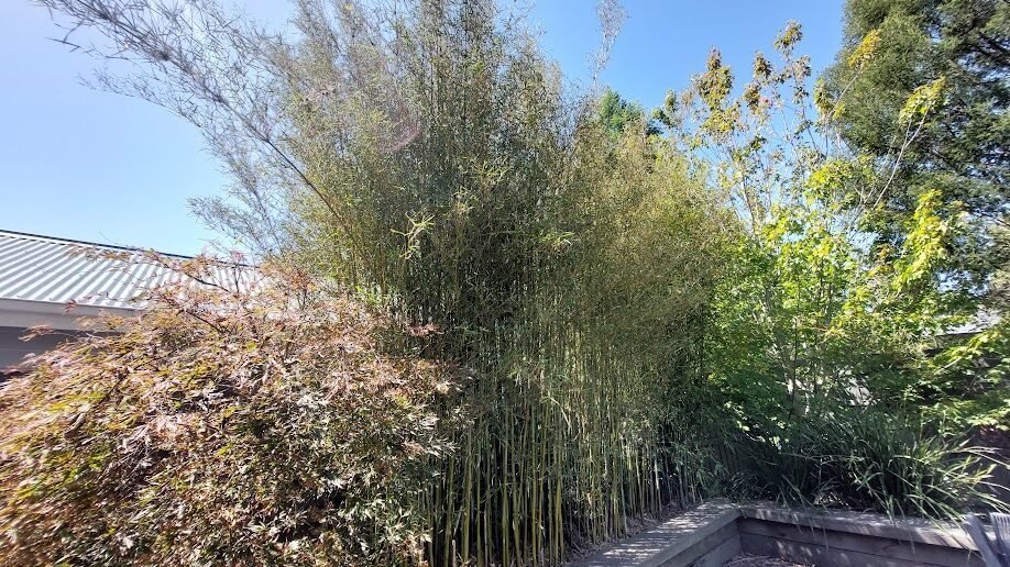 Landscaping work by Weeds n' Wonders, Eaglemont VIC (photo 1 of 4)